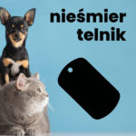 Nieśmiertelnik